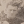 Leroux